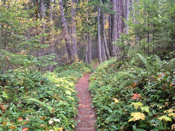 Miller Peninsula State Park | Sierra Club